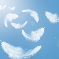 年末年始休業について｜行政書士事務所から